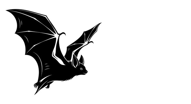 A detailed black and white illustration of a flying bat with spread wings.