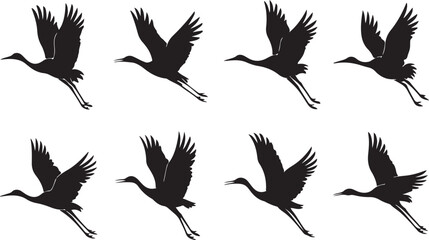 Obraz premium Silhouette crane birds flying in formation