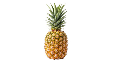 Fototapeta premium Large whole pineapple with bright green spines on yellowish skin fruit