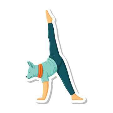 Dog in yoga pose with owner.