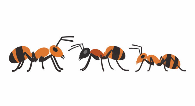 Group of three stylized orange and black ants walking from left to right