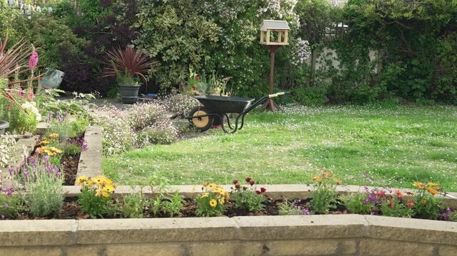 Peaceful garden with wheel barrow and bird table.
