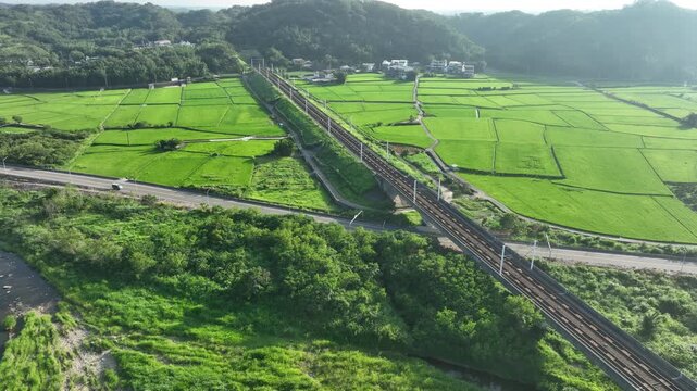 High speed train passing through green rice fields.