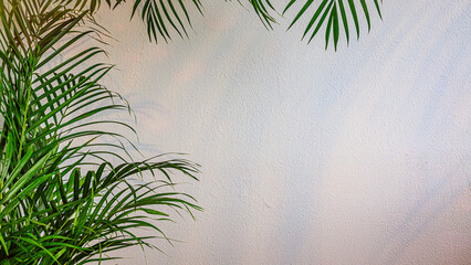 Naklejka premium Green plants against a light wall create a simple background for a calm setting in a quiet space during daytime