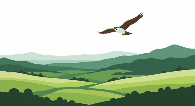 Bird of prey soars over lush, rolling green hills under a bright sky