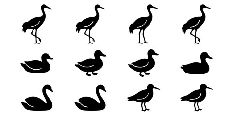 Various black silhouettes of ducks and swans standing in different poses © Dhani