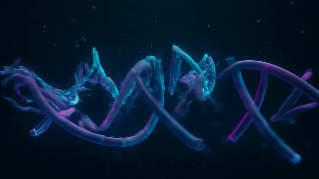 Futuristic glowing neon blue and purple DNA double helix transforming, dissolving, and replicating on dark digital background representing genetic processes and data flow