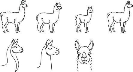Naklejka premium Llama and Alpaca Line Art Icon Set with Full Body Standing Poses and Side Face Portrait Views for Animal and Farm Designs