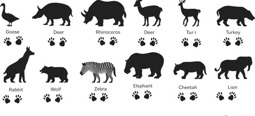 Animal silhouettes with paw prints, goose, deer, rhinoceros, turkey, rabbit, wolf, zebra, elephant, cheetah, lion, vector illustration, black art © MOSTSHAHANAJ