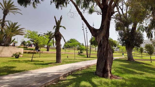 Modern Green Park Landscape in Agadir, Morocco Under Blue Sky &ndash; June 1, 2026