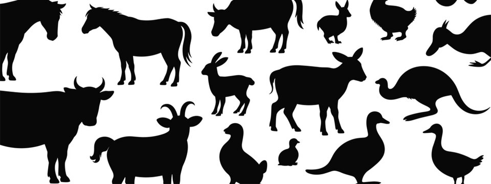 Farm animal silhouettes, horse, cow, goat, sheep, rabbit, chicken, duck, goose, kangaroo, chick, black vector illustration set