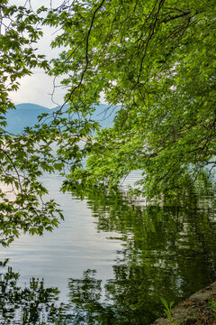 Lush green platanus tree branches reflect on the calm surface of Lake Orestiada in Kastoria, Greece, with mountains in the background.
