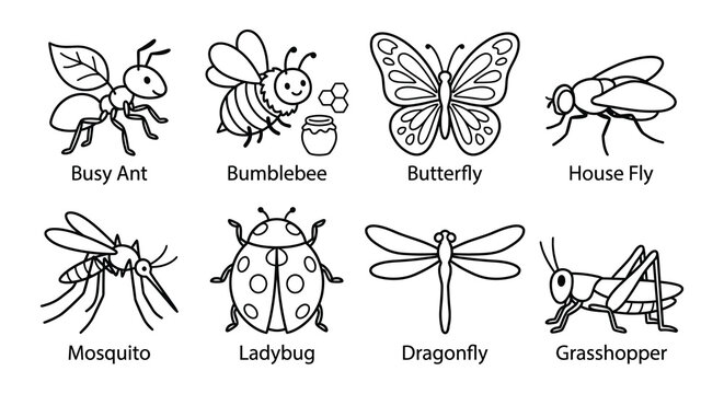 ant, bee, butterfly, dragonfly, fly, insect, ladybug, caterpillar, vector illustration, line art, black and white, monochrome, drawing, sketch, outline, bug, arthropod, creature, wildlife, nature, ani