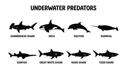 Underwater predators silhouette collection black vector shapes on white background © Nayem