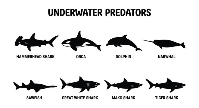 Underwater predators silhouette collection black vector shapes on white background