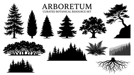 Arboretum botanical tree silhouette set. Forest landscape design elements. Pine oak spruce fir and fern collection. Nature graphic resource icons. © DandiPdn