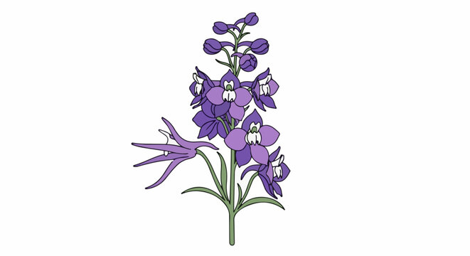 Vibrant purple flowers bloom on a tall green stem, forming an elegant display