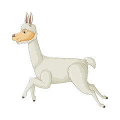 Running White Llama in Motion © MDIbrahim