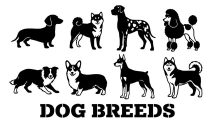 Naklejka premium Set of black and white dog breed silhouettes and stencils including Corgi, Husky, Poodle, Dalmatian, and Doberman Pinscher, isolated on white vector illustration.