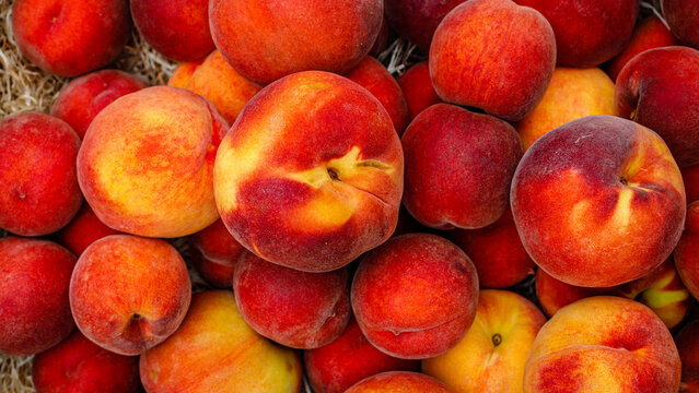 Fresh peaches are piled in a basket at the local farm market during the summer season