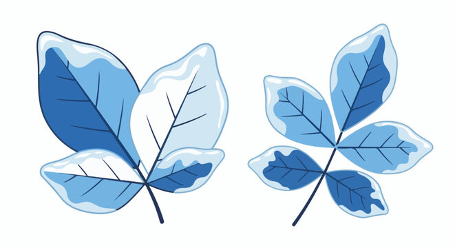 Two branches with blue leaves covered in ice and snow