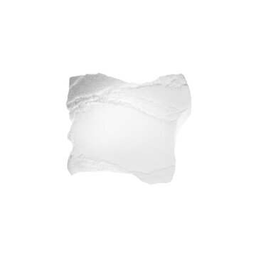 Single fragment of thick white bond paper with jagged torn fibrous edges resting on a transparent background with dramatic rim lighting for minimalist texture