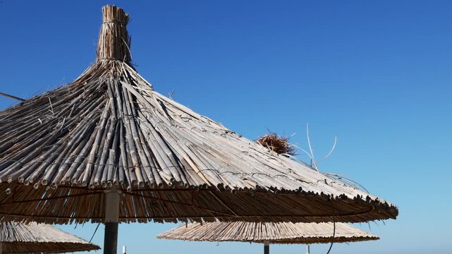 Natural bamboo parasol on tropical beach, clear blue sky, summer travel destination and coastal lifestyle.