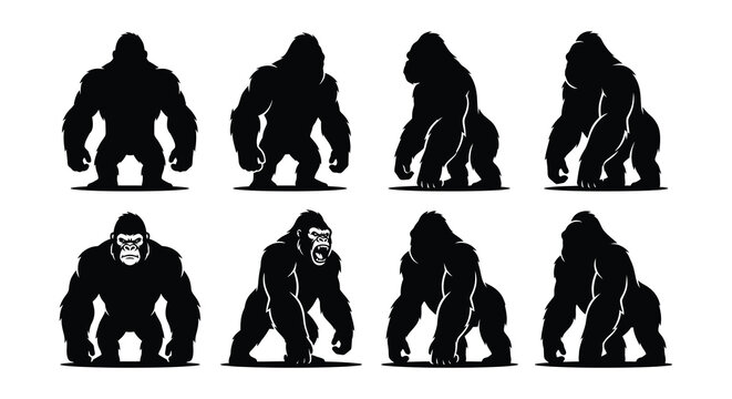 Gorilla silhouettes in various poses black vector illustration