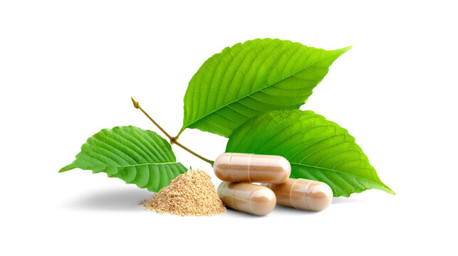 Natural herbal supplement capsules with green leaves and plant powder on white background