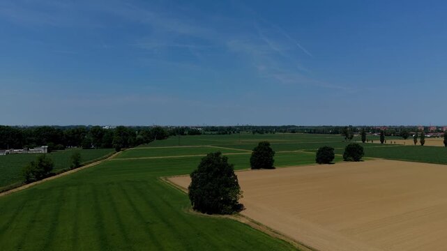 Vast agricultural landscape under a clear blue sky, showcasing verdant fields and dry earth in a patchwork quilt of cultivated land. Mediglia, Italy