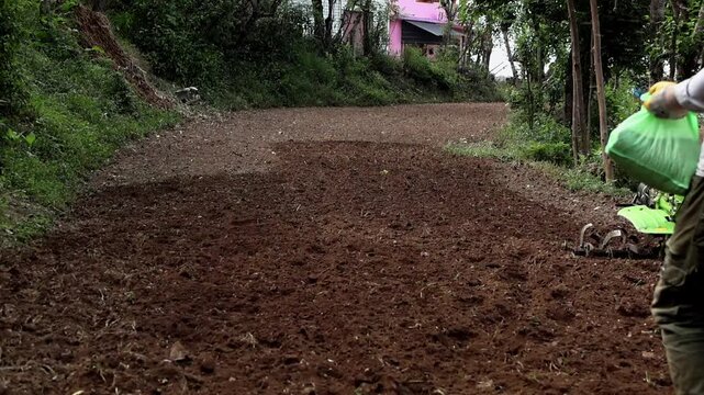 Closeup slow motion video of an Indian farmer scattering seeds by hand across an agricultural field before plowing the soil with a power tiller during summer season in Himachal Pradesh, India.