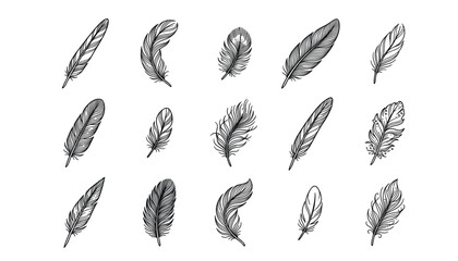 Bird feather silhouette vector line art icon set. Vintage plumage sketches, quill pens, tribal boho decorations, wings, fluffy fluff, and elegant graphic design elements. © Creative Studio 
