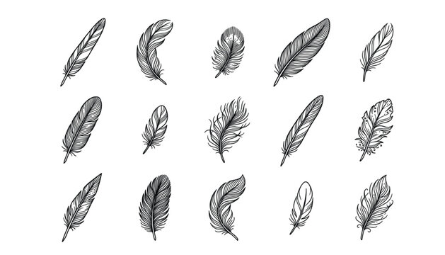 Bird feather silhouette vector line art icon set. Vintage plumage sketches, quill pens, tribal boho decorations, wings, fluffy fluff, and elegant graphic design elements.