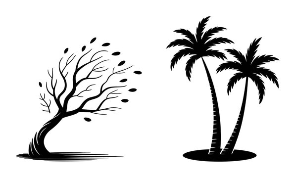 A black and white featuring a windblown leafless tree next to a pair of tropical palm trees