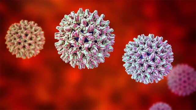 Hepatitis B virus particles, 3D animation showing slowly rotating enveloped virions with surface antigen spikes, illustrating viral pathogen causing liver infection.