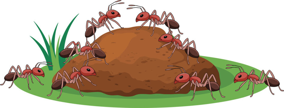 Red ants colony around anthill in grass natural insect habitat cartoon vector illustration design for education