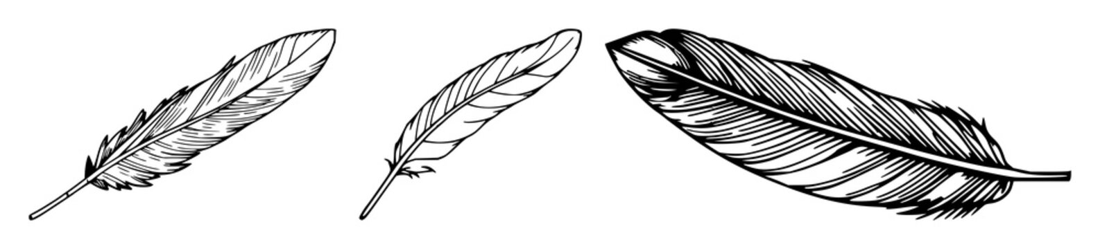 Feather set with black line art on white background, simple caption featuring feather, silhouette, graphic with minimalist and ornamental