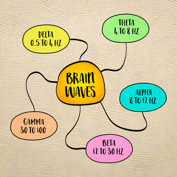Brain waves are electrical impulses in the brain that reflect various mental states and activities, mind map infographics sketch, mind map infographics sketch.