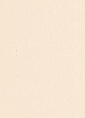 Fototapeta premium Light Beige Paper Texture Background
