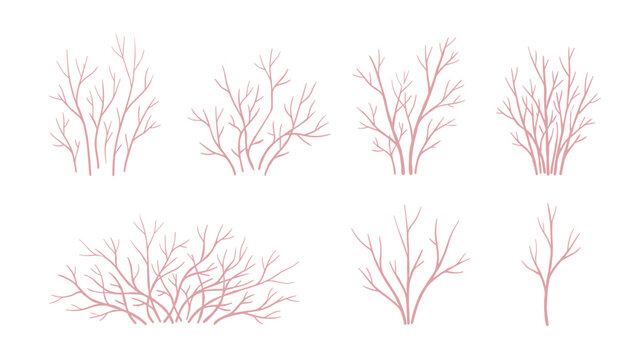 Bare bush and tree branch vector silhouette set. Winter twigs, leafless shrubs, pink plant stems, forest nature elements and botanical contours. Minimalist organic design collection.