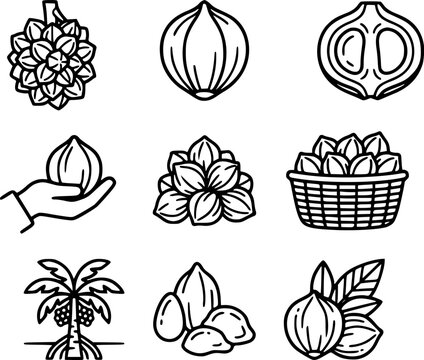 Set Ilustrasi Pala Hitam Putih Minimalis &ndash; Koleksi Ikon Rempah dan Buah Pala Outline