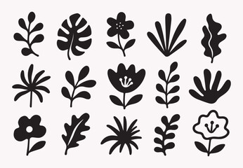 Stylish botanical leaf silhouette collection with abstract tropical foliage and organic plant shapes in minimalist black vector style. Perfect for branding packaging wall art textiles social media gra © Idee khan