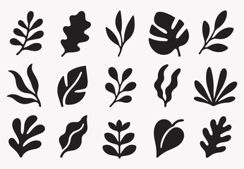 Stylish botanical leaf silhouette collection with abstract tropical foliage and organic plant shapes in minimalist black vector style. Perfect for branding packaging wall art textiles social media gra © Idee khan