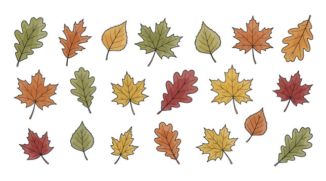 Autumn Leaves Hand Drawn Icon Set