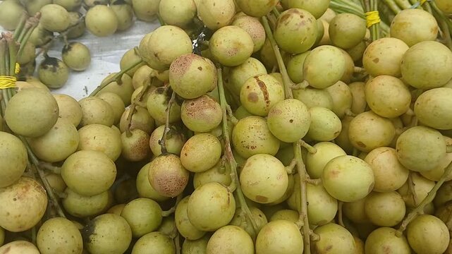Burmese Grape