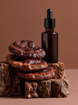 Dark glass dropper bottle positioned beside stacked reishi mushrooms on textured wood, set against a warm brown background for a natural aesthetic