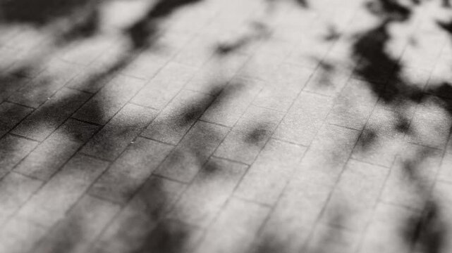 Cobblestone pattern with soft shadows and natural light.