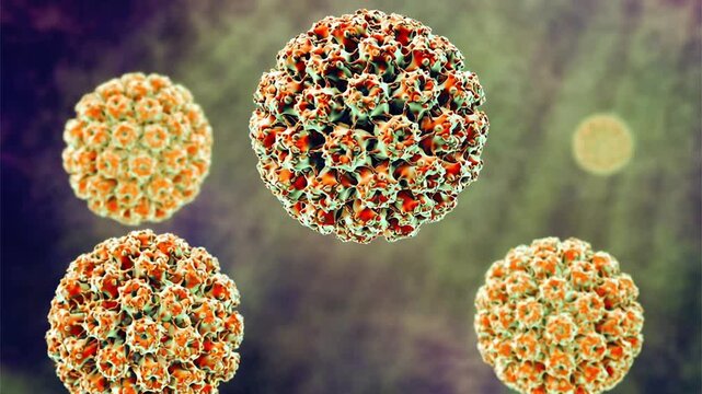 Human papillomavirus particles shown in 3D animation, non-enveloped DNA virions associated with HPV infection and cervical cancer in humans.