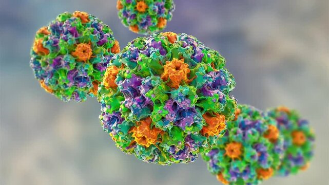 Human papillomavirus particles shown in 3D animation, non-enveloped DNA virions associated with HPV infection and cervical cancer in humans.