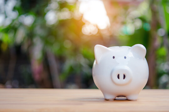White piggy bank on wooden table with blurred garden background and warm sunlight